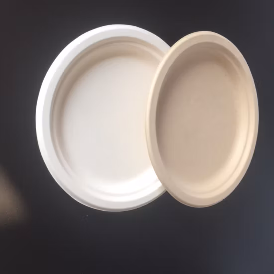 Экологически чистая персонализируемая столовая посуда, компостируемая тарелка из целлюлозы из жома сахарного тростника с 2 отделениями