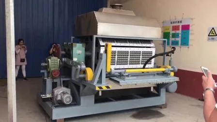 Высококачественная автоматическая машина для формования лотков для яиц из бумажной массы