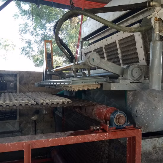 Машина для производства пластиковых подносов для яиц нового семейства продуктов для малого бизнеса